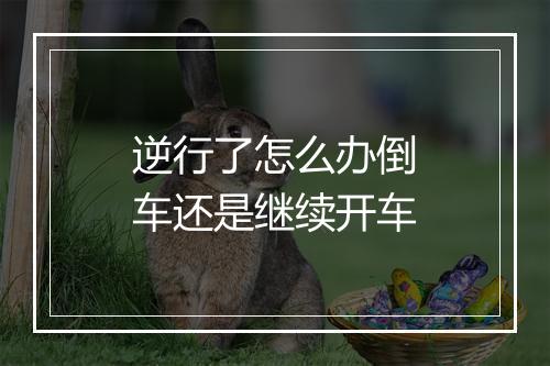 逆行了怎么办倒车还是继续开车