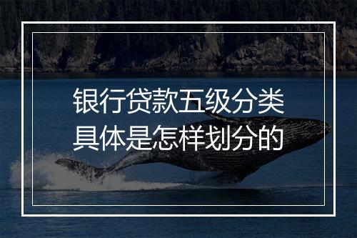 银行贷款五级分类具体是怎样划分的