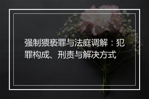 强制猥亵罪与法庭调解：犯罪构成、刑责与解决方式