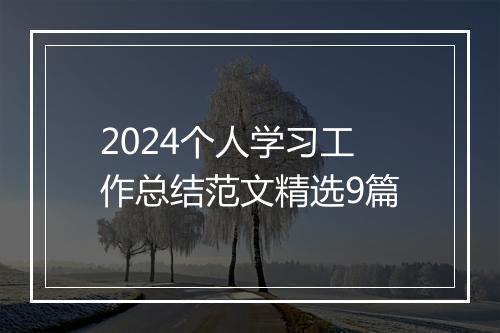 2024个人学习工作总结范文精选9篇
