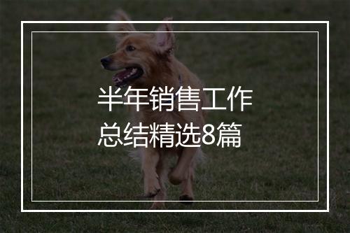 半年销售工作总结精选8篇