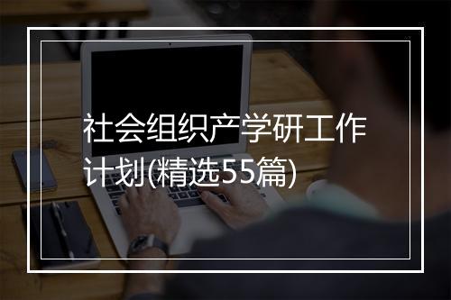 社会组织产学研工作计划(精选55篇)