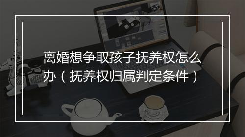 离婚想争取孩子抚养权怎么办（抚养权归属判定条件）