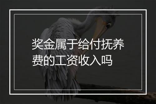 奖金属于给付抚养费的工资收入吗