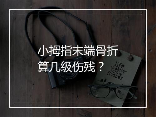 小拇指末端骨折算几级伤残？