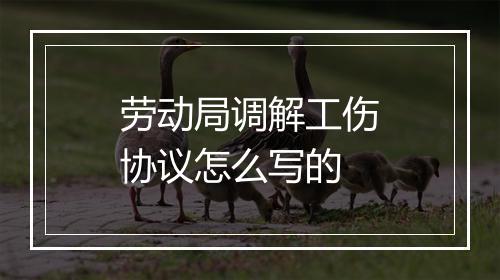 劳动局调解工伤协议怎么写的