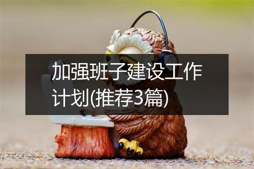 加强班子建设工作计划(推荐3篇)