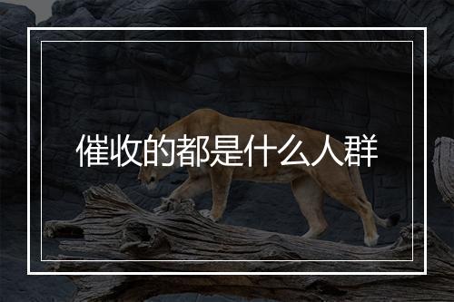 催收的都是什么人群