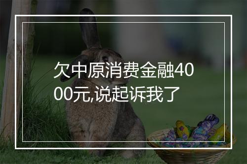 欠中原消费金融4000元,说起诉我了