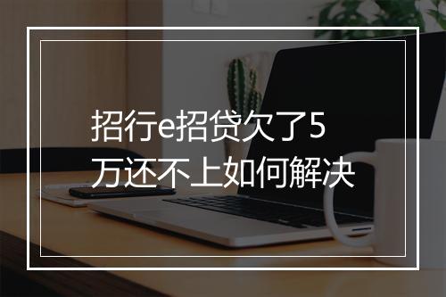 招行e招贷欠了5万还不上如何解决
