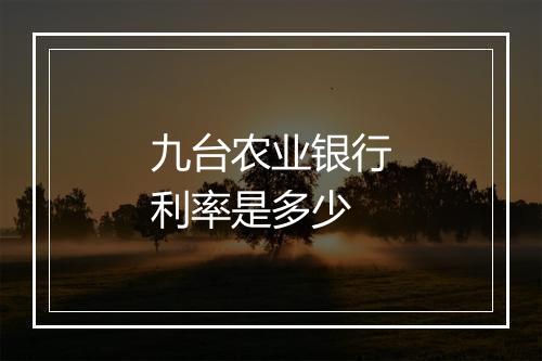 九台农业银行利率是多少