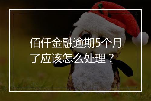 佰仟金融逾期5个月了应该怎么处理？