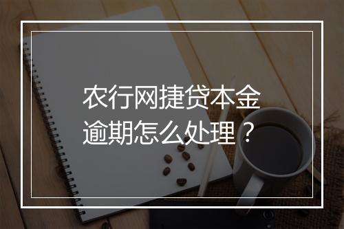 农行网捷贷本金逾期怎么处理？