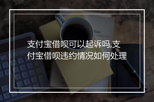 支付宝借呗可以起诉吗,支付宝借呗违约情况如何处理