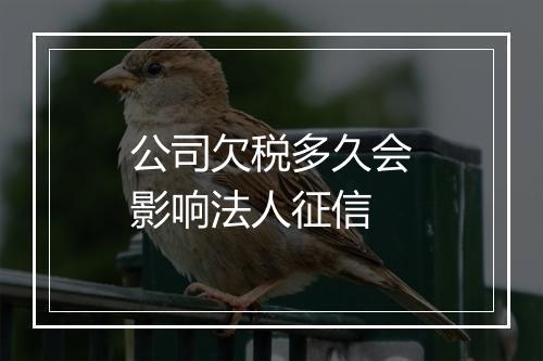 公司欠税多久会影响法人征信