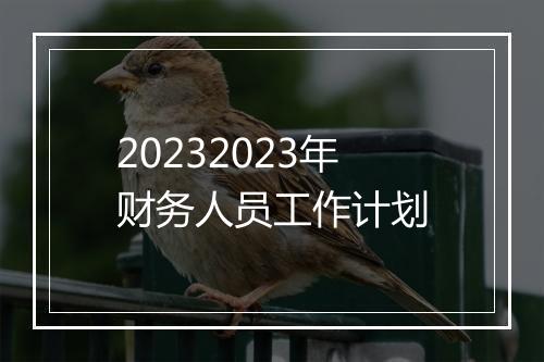 20232023年财务人员工作计划