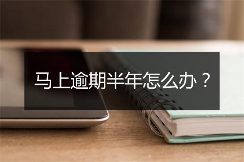马上逾期半年怎么办？