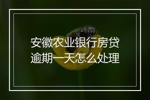 安徽农业银行房贷逾期一天怎么处理