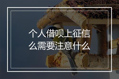 个人借呗上征信么需要注意什么