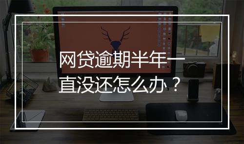 网贷逾期半年一直没还怎么办？