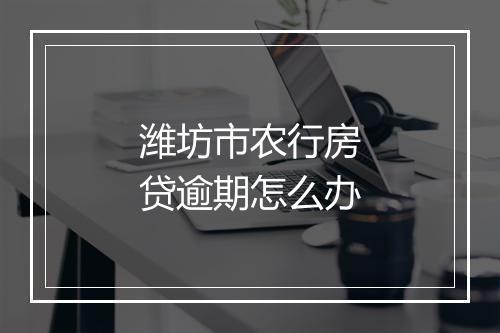 潍坊市农行房贷逾期怎么办