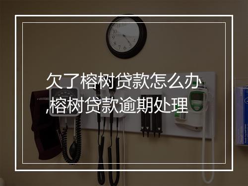 欠了榕树贷款怎么办,榕树贷款逾期处理