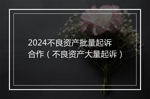 2024不良资产批量起诉合作（不良资产大量起诉）