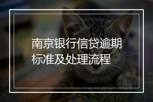 南京银行信贷逾期标准及处理流程