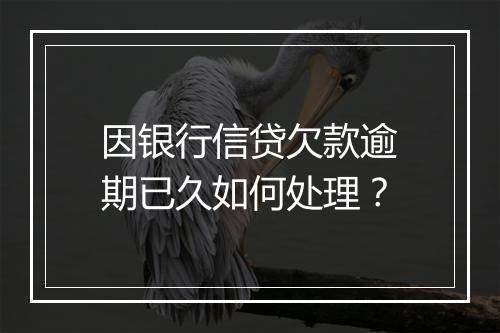 因银行信贷欠款逾期已久如何处理？