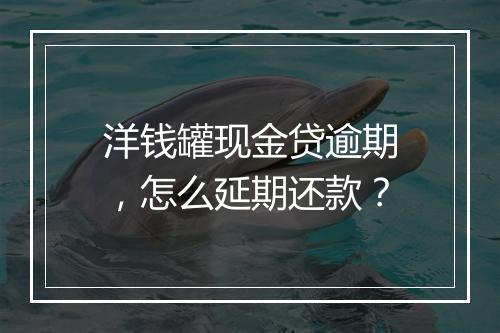 洋钱罐现金贷逾期，怎么延期还款？