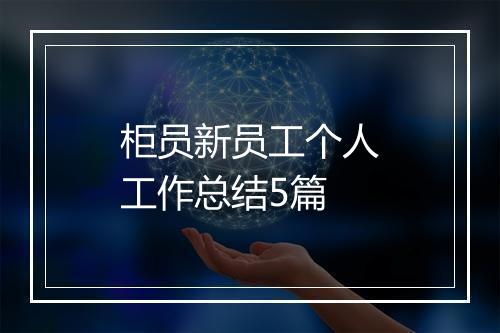 柜员新员工个人工作总结5篇