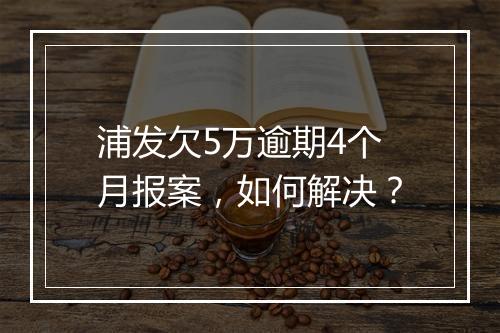 浦发欠5万逾期4个月报案，如何解决？