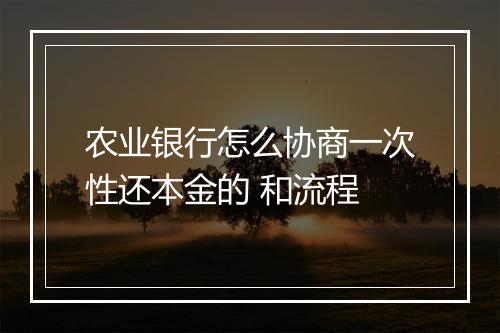 农业银行怎么协商一次性还本金的 和流程