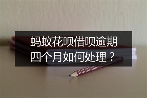 蚂蚁花呗借呗逾期四个月如何处理？