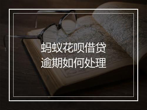 蚂蚁花呗借贷逾期如何处理