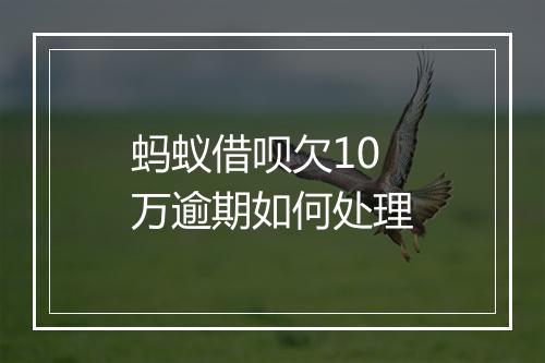 蚂蚁借呗欠10万逾期如何处理