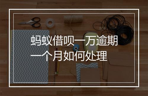 蚂蚁借呗一万逾期一个月如何处理