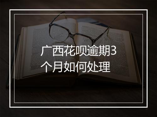 广西花呗逾期3个月如何处理