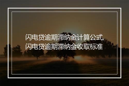 闪电贷逾期滞纳金计算公式,闪电贷逾期滞纳金收取标准
