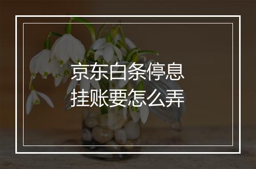 京东白条停息挂账要怎么弄