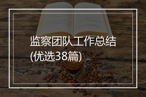 监察团队工作总结(优选38篇)