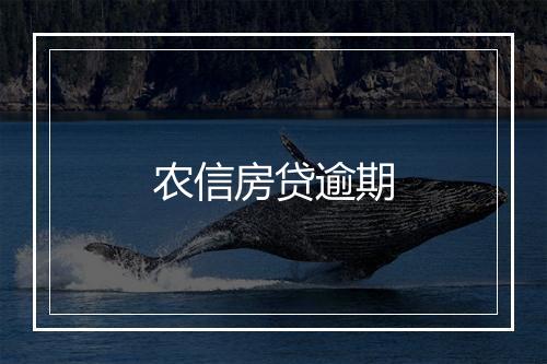农信房贷逾期