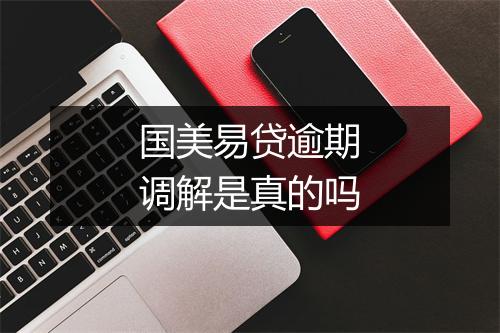 国美易贷逾期调解是真的吗