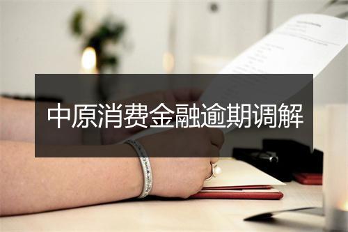 中原消费金融逾期调解