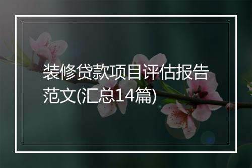 装修贷款项目评估报告范文(汇总14篇)