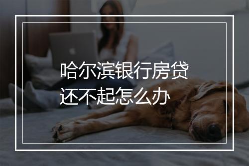哈尔滨银行房贷还不起怎么办