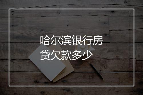 哈尔滨银行房贷欠款多少