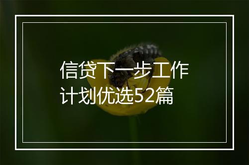 信贷下一步工作计划优选52篇