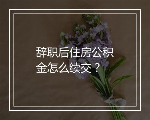 辞职后住房公积金怎么续交？