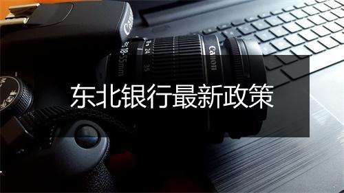 东北银行最新政策